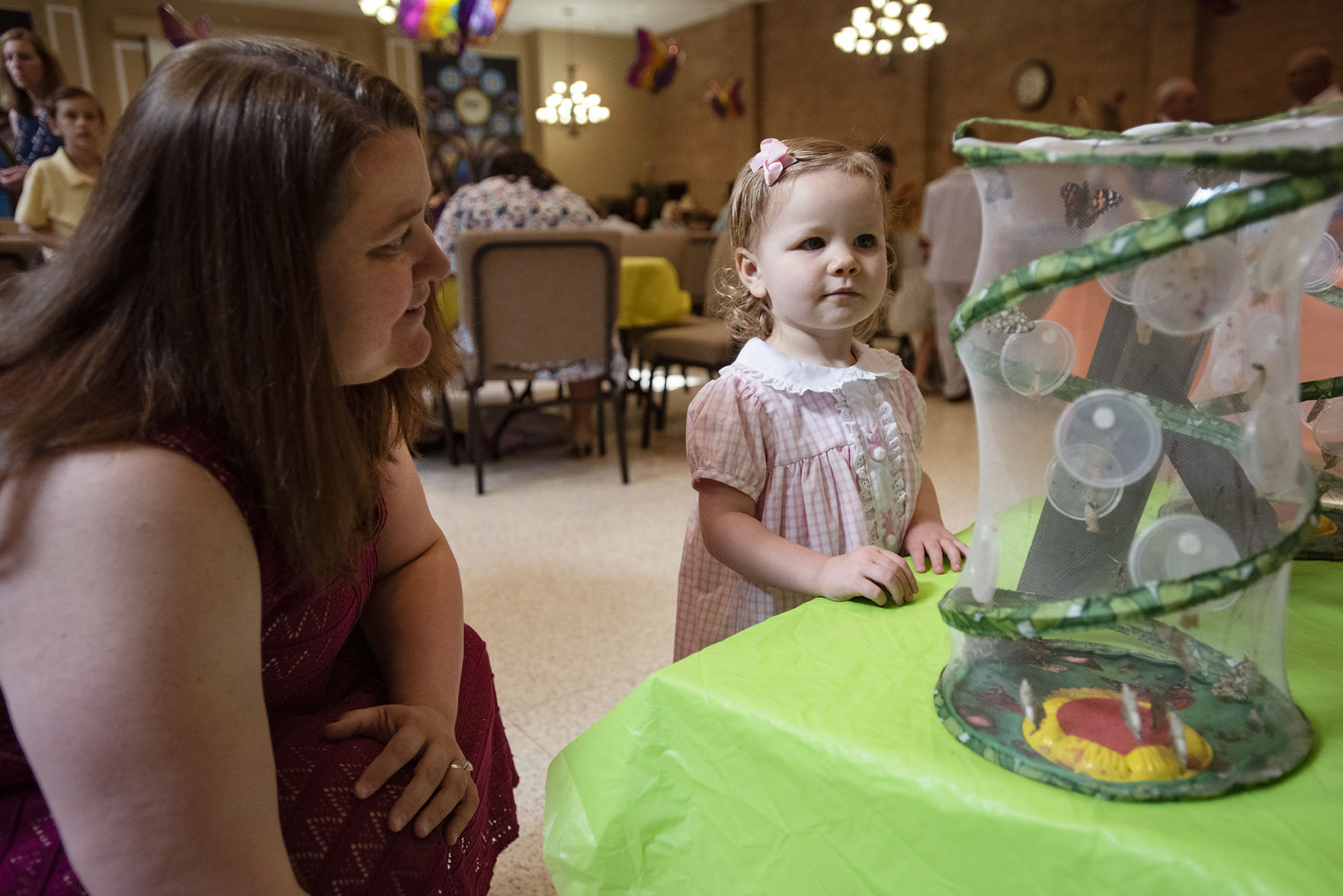 20190422_local_Marvin_Butterflies_Easter_08WEB.jpg